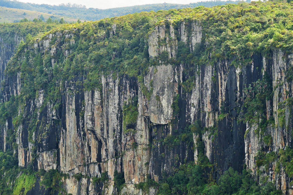 A sheer rock cliff face with dark vertical strata, its rim and crevices covered in green forest, with cables stretching across the upper right